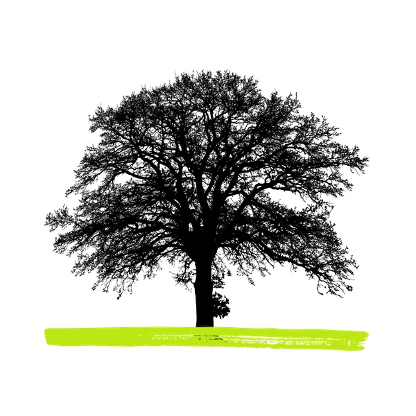 Business Entwicklung Phase 3 - Das Ziel vieler Selbständiger. Leichter, freier, wirksamer und verlässlicher arbeiten mit Solopreneuer Business.